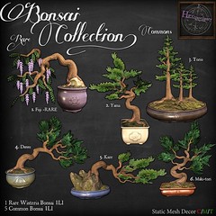 HEXtraordinary - Bonsai Collection - Gacha Garden