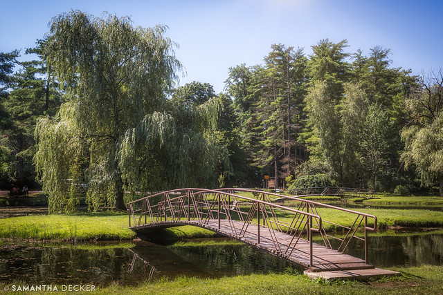 A Bridge in Crandall Park