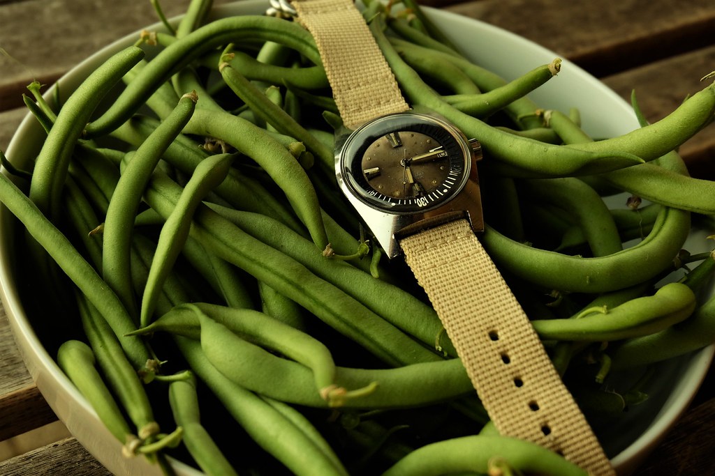 Dites-le avec des... légumes - Feu de montres potagères - Page 2 50178090102_887d7b60d5_b