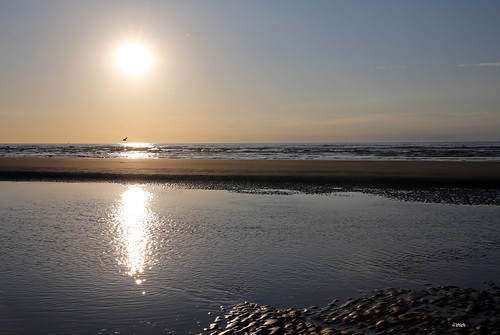 oostduinkerke belgique belgie belgium plage beach belgiancoast mer merdunord soleil sunset sun