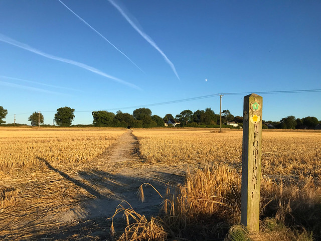 Footpath Contrails Moon