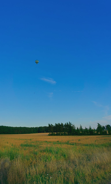 Heißluftballon über den Feldern