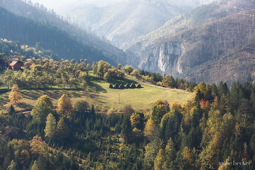 serbia taranationalpark landscape bajinabašta zlatibor balkans