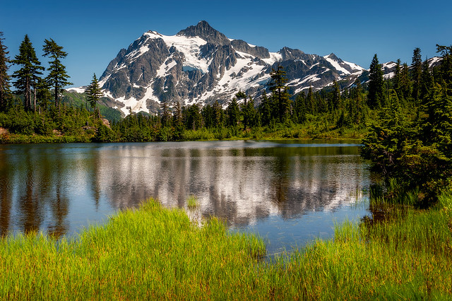 Picture Lake with Mt. Shuksan  in the Background
