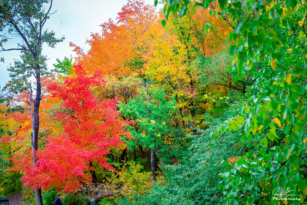Quebec City, Quebec, Canada Fall Colors | Jim Katzman | Flickr