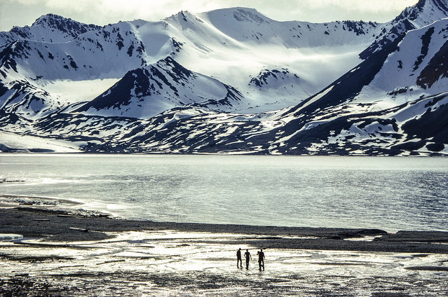 Engelskbukta Svalbard