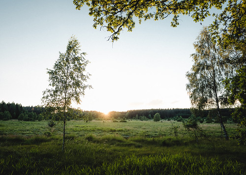 Padrť by Petr Horak, strašice plzeň czechrepublic padrť fuji xh1 sunset nature landscape birch tree