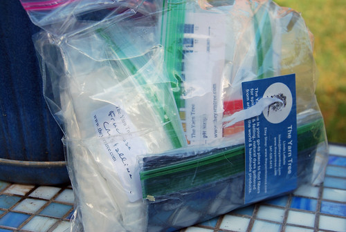 Indigo fructose dye kit in plastic zip bag from The Yarn Tree picture by irieknit