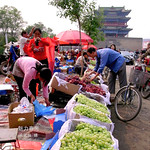 CHINA- Urban Agricultural Heritage – Xuanhua Grape Garden