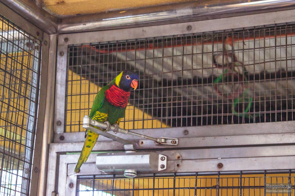 парк птиц Куала-Лумпур