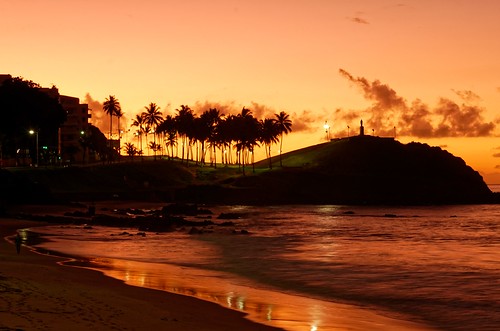 sunrise hill sea landscape paisagem morro mar seashore palm trees coqueiro golden hour