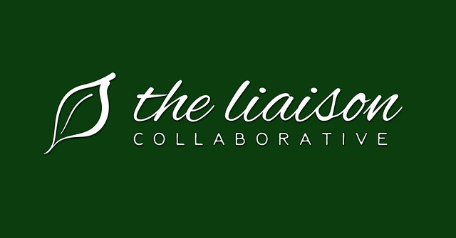 Roll The Dice At The Liaison Collaborative!