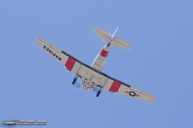 Local SNJ/T-6 Texan Warbirds