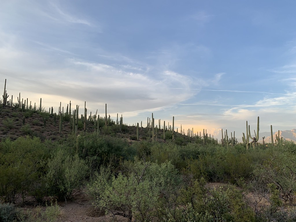 Sun Circle Loop