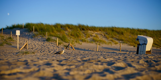 Ostsee Impressionen 3