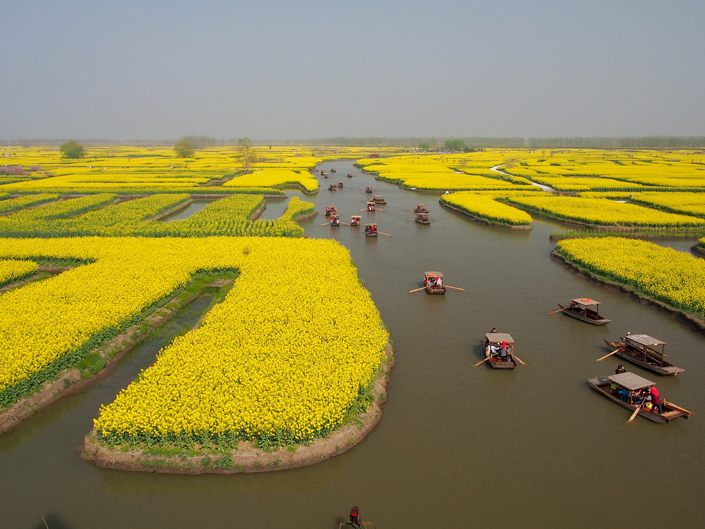China - Xinghua Duotian Agrosystem | Xinghua Duotian agrosys… | Flickr