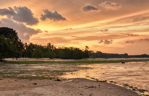 landscape nature sunset beach ocean sea strait waves ripples sand ground clouds cloudy sky color warm hdr scenery coast pasirris pasirrispark trees tents singapore southeast asia