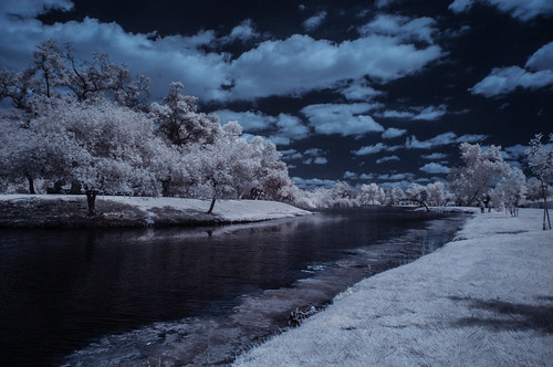 santeelakes clouds water sky trees grass channelswapping infrared infraredphotography ir convertedinfraredcamera composition landscape