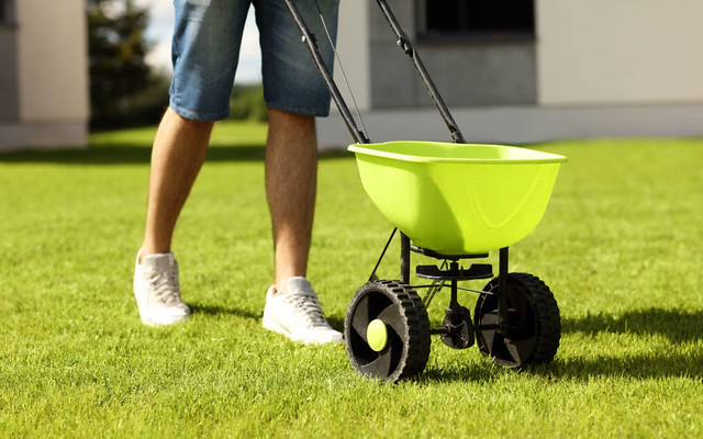 Check Over-seeding of Your Lawn