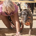 foto: Hard Dog Race