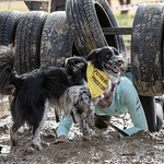 foto: Hard Dog Race