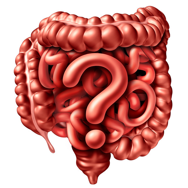 Answering Frequently Asked Questions About Gastrointestinal Surgery