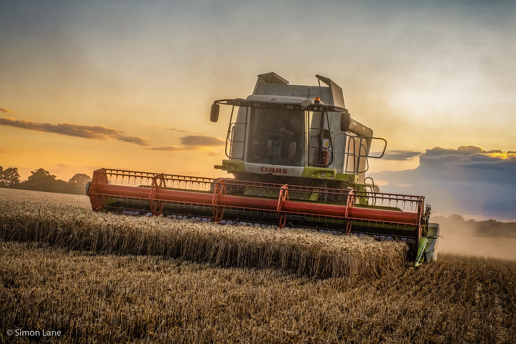 Evening Harvest | Early evening wheat harvest in Knebworth, … | Flickr
