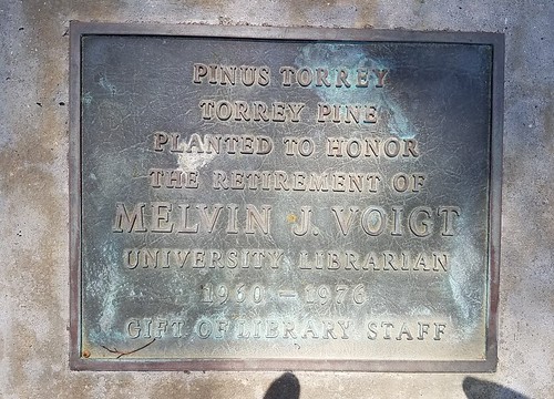 Plaque - UCSD Librarian - 1960 to 1976