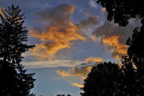 orange gray white blue reddish green spruce buckeye maple clouds sky floating warm summer humid high silhouettes beautiful