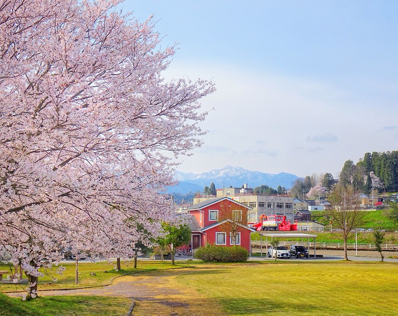 八尾町長閑な山村 (120)