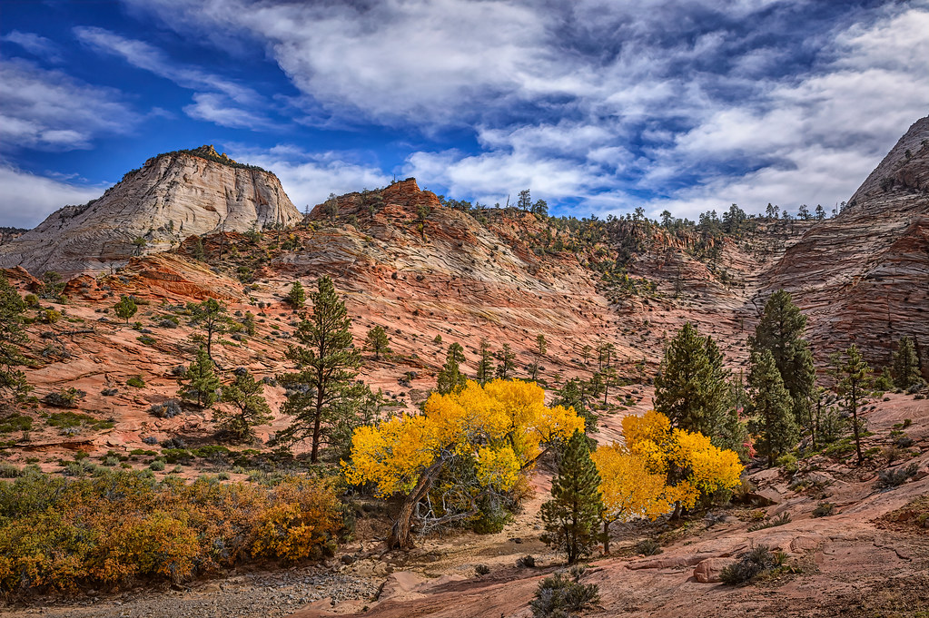 View of sandstone rock formations and autumn leaves along Highway 9 near the entrance to Zion National Park, Utah