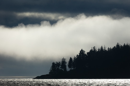 2020 artistic bc britishcolumbia canada island tamron150600 vancouverisland backlit clouds day detail forest landscape light lightanddark mist nature nicelight outdoor outside scenic sea shadow telephoto texture travel wallpaper water weather wedding white woods