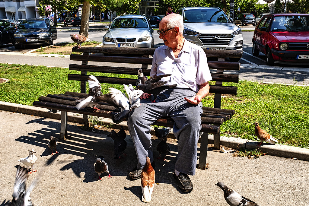 Old man sitting on bench, feeding pigeons on 8-8-20--Novi Sad