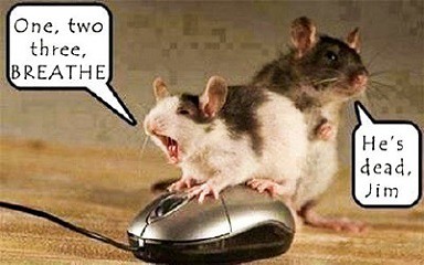 funny_mouse01