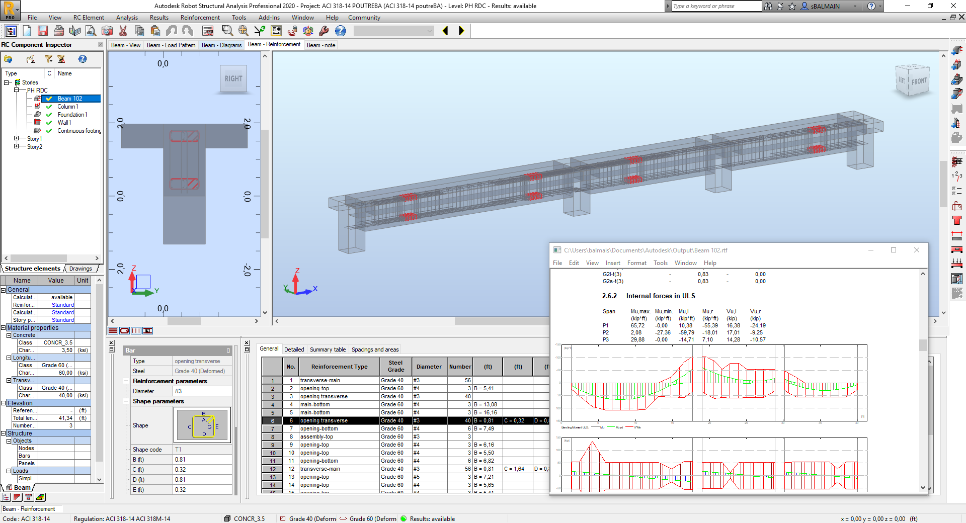 Working with Autodesk Robot Structural Analysis Professional 2020 full