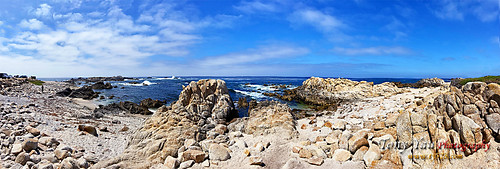 ty328com tonyyauphotography iphone11 apple 17milesdrive oceanview carmelbeach california montereybay ocean beach