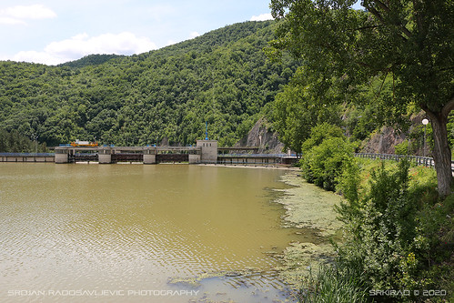 travel medjuvrsje srbija serbia ovčar kablar river morava lake water green dam foliage trees