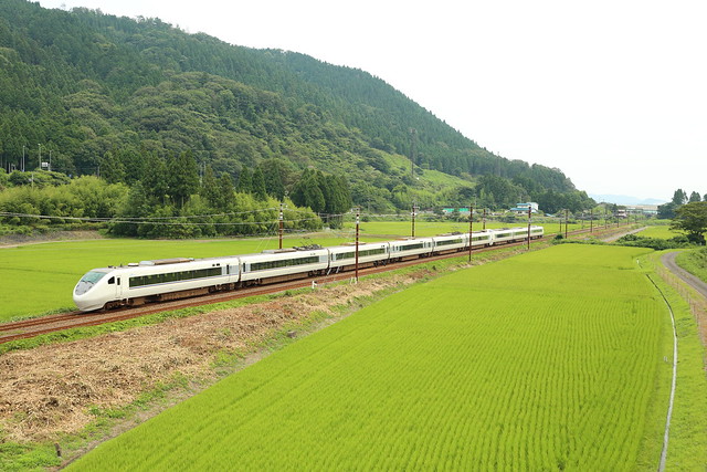 Train and rice fields