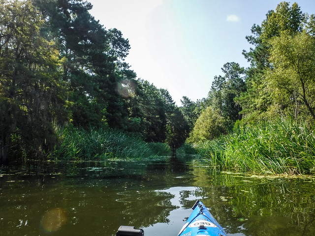 "The Jungle" on Lake Moultrie with Lowcountry Unfiltered