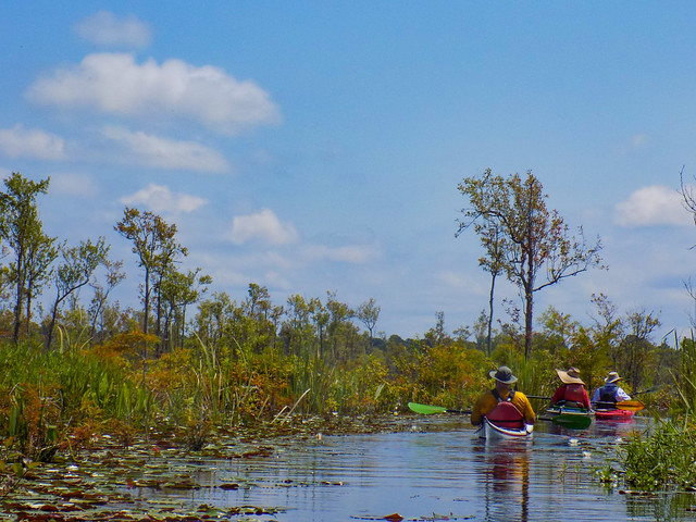 "The Jungle" on Lake Moultrie with Lowcountry Unfiltered