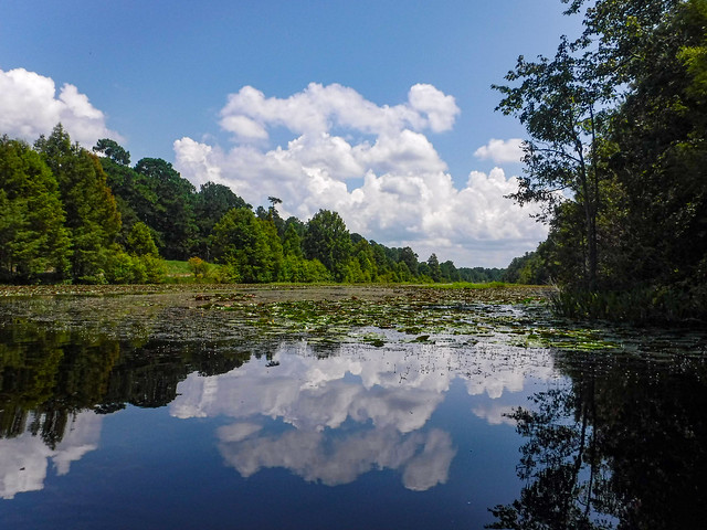 "The Jungle" on Lake Moultrie with Lowcountry Unfiltered