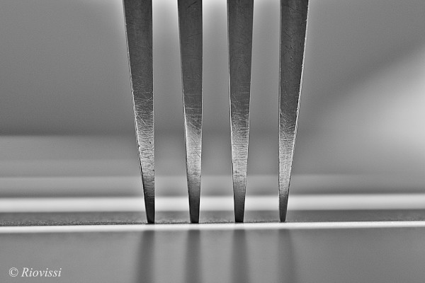 Vertical Fork