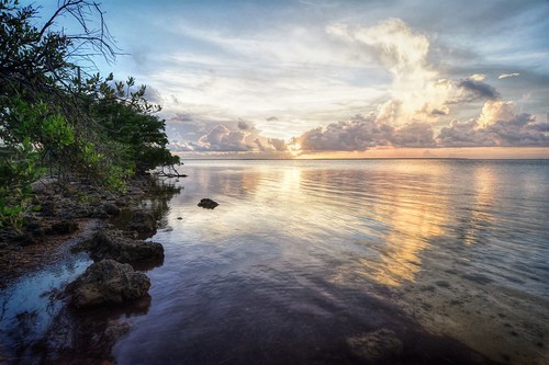 bahiahondaflorida nature florida sunset water gulf beach sky reflection coral