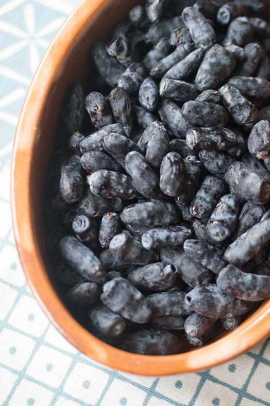 Bowl of Haskap Berries