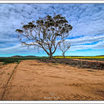 Farmland, Mount Stirling Road, South Tammin, Western Australia