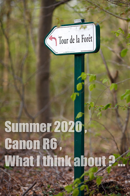 🇬🇧 Summer 2020, Canon R6 What I think about? ...