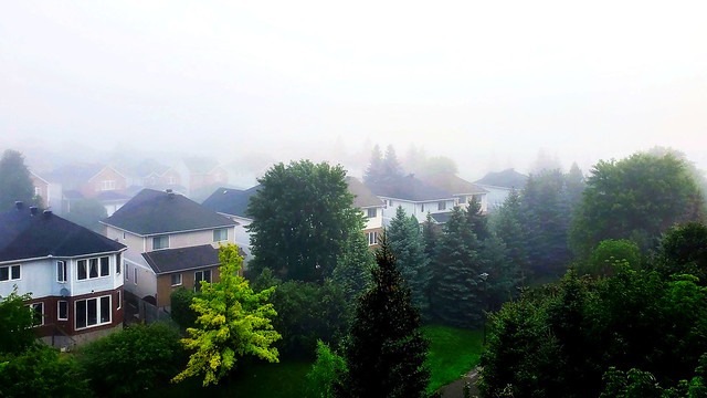 Foggy morning in Nepean