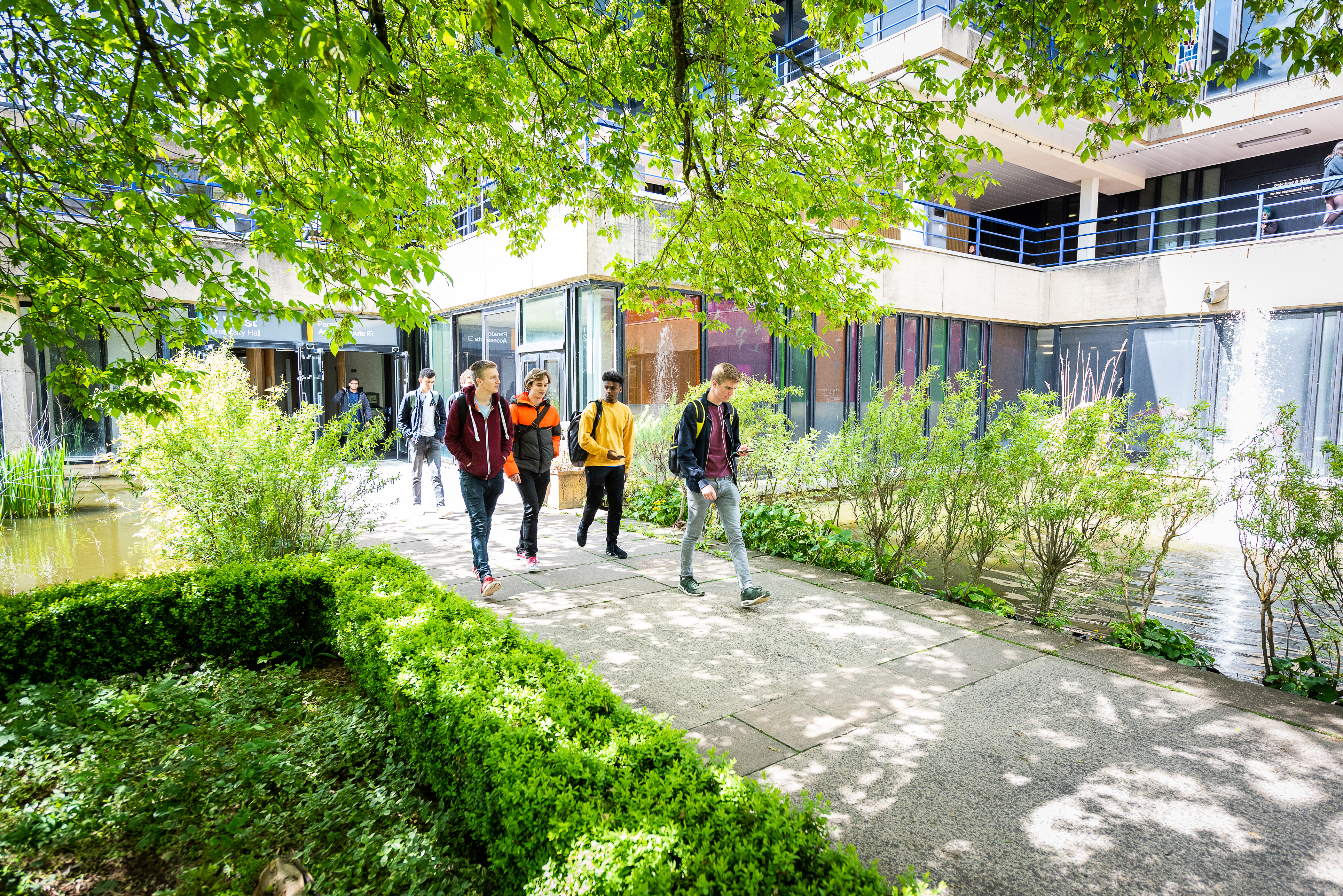 Students walking under trees covered with green leaves.