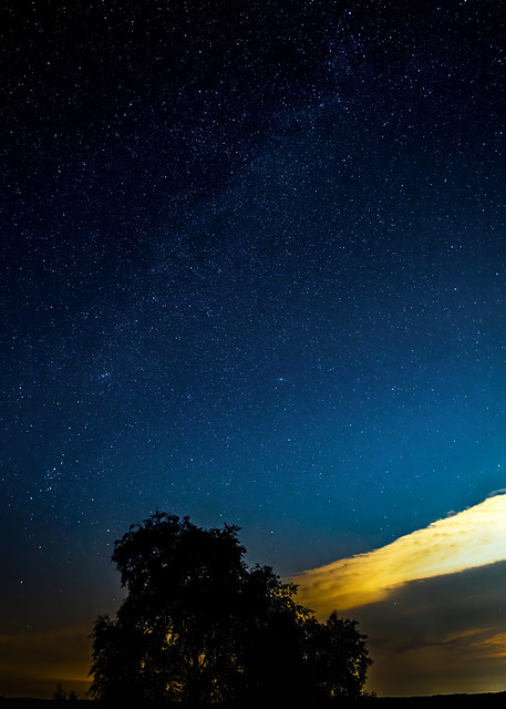 Milky Way, Ashley Walk, New Forest, Hampshire, UK