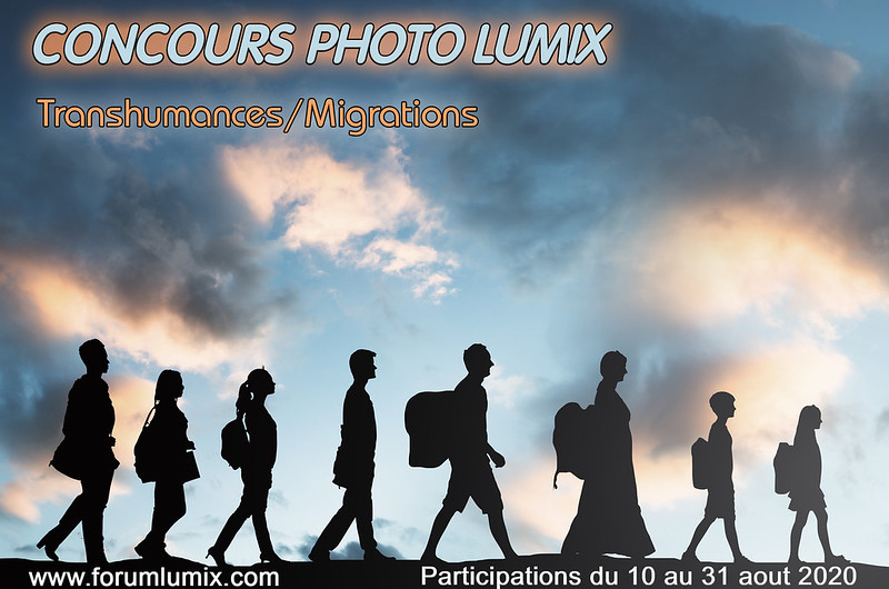 Concours photo aout 2020 "TRANSHUMANCES/MIGRATIONS" 50211851557_a2db42060b_c